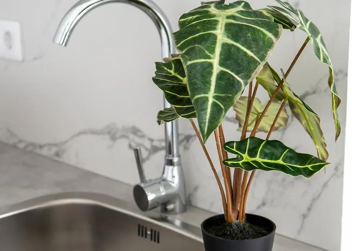 Balcon Panoramico, Mar Y Puestas De Sol Apartment *