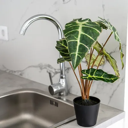 Panoramic Balcony, Sea And Sunsets Apartment *